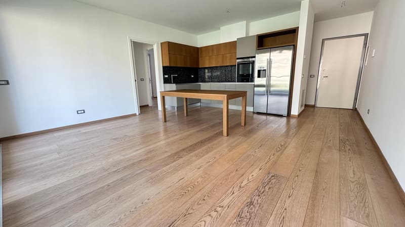 Bright 3-room apartment for sale in Bellinzona (1)