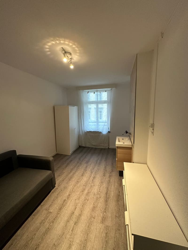 spacious room, wooden floor, white walls, sofa, cabinet, radiator, sink, window, radiator