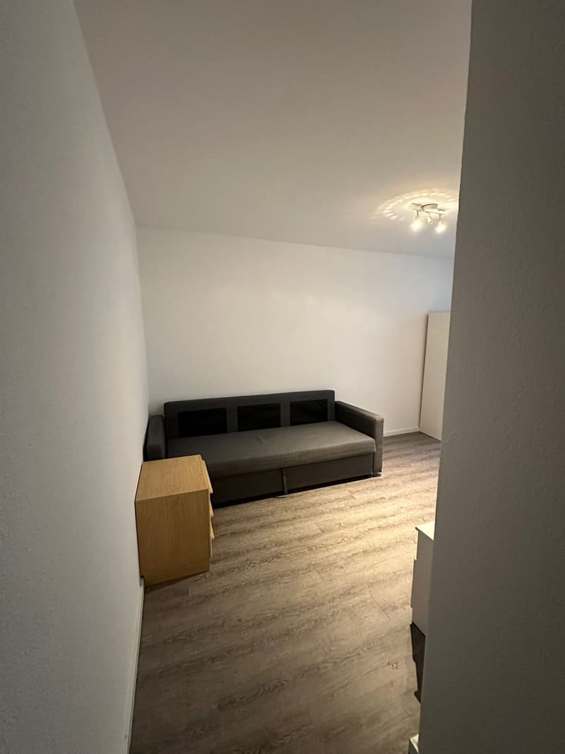 empty room, gray sofa, white walls, wooden floor, ceiling lights