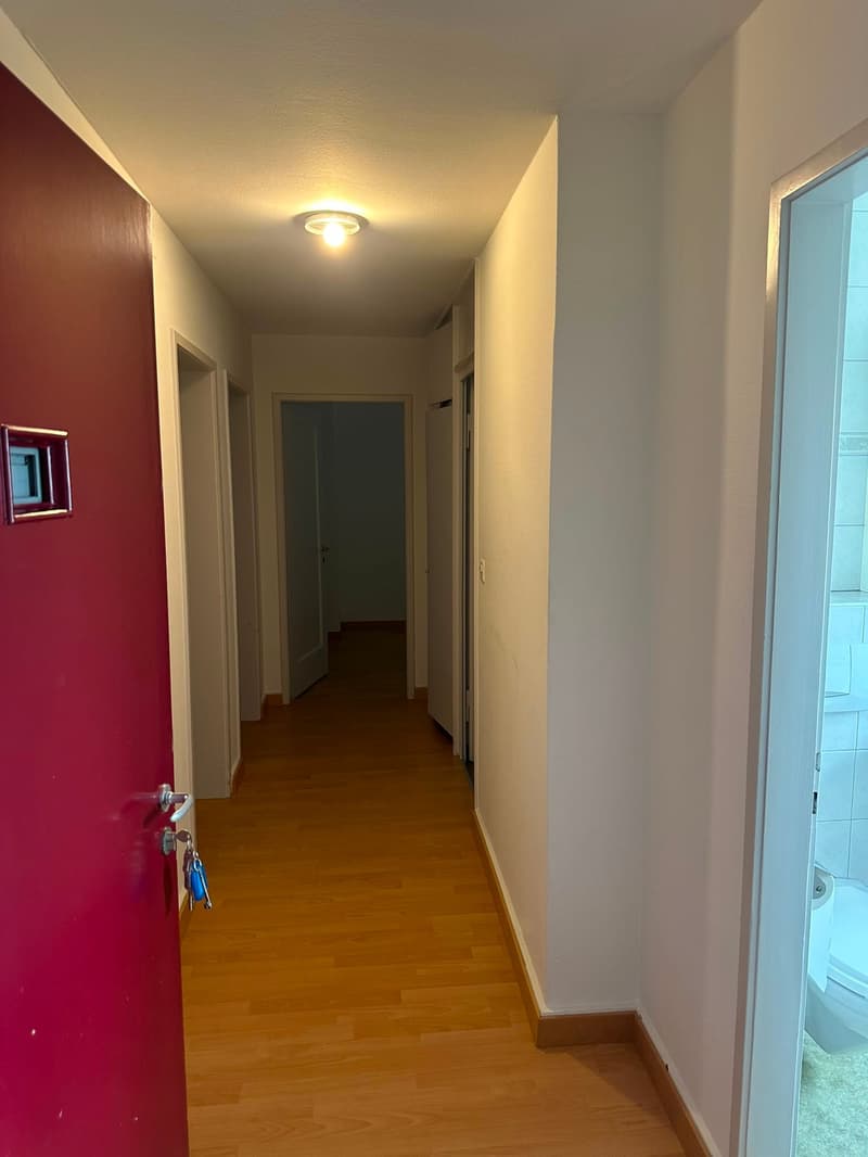 Incantevole appartamento di 3 locali in una posizione tranquilla a Rorschacherberg (2)