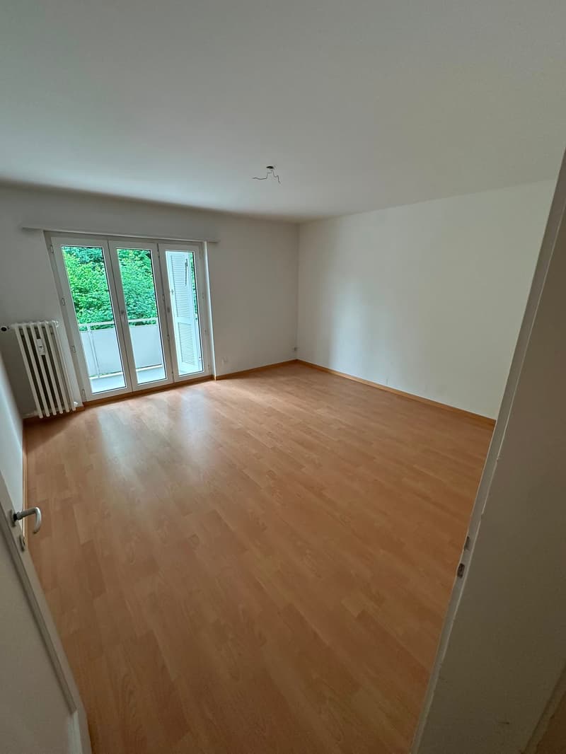 Incantevole appartamento di 3 locali in una posizione tranquilla a Rorschacherberg (11)