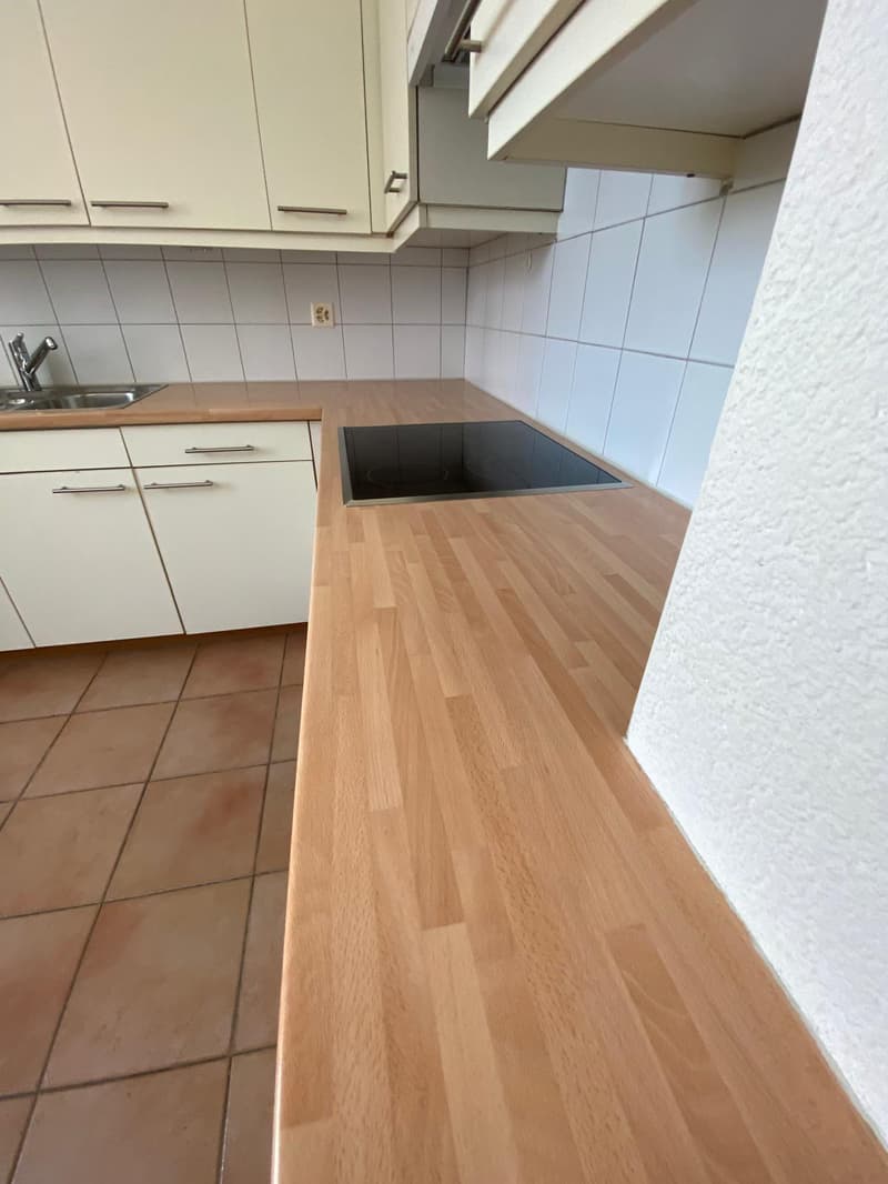 Bright 3.5-room apartment in a central location in Rorschach (9)