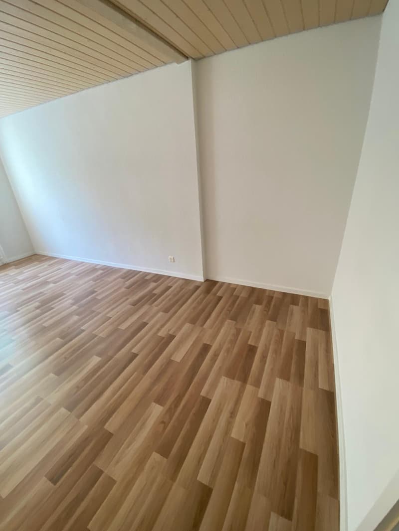 Bright 3.5-room apartment in a central location in Rorschach (4)