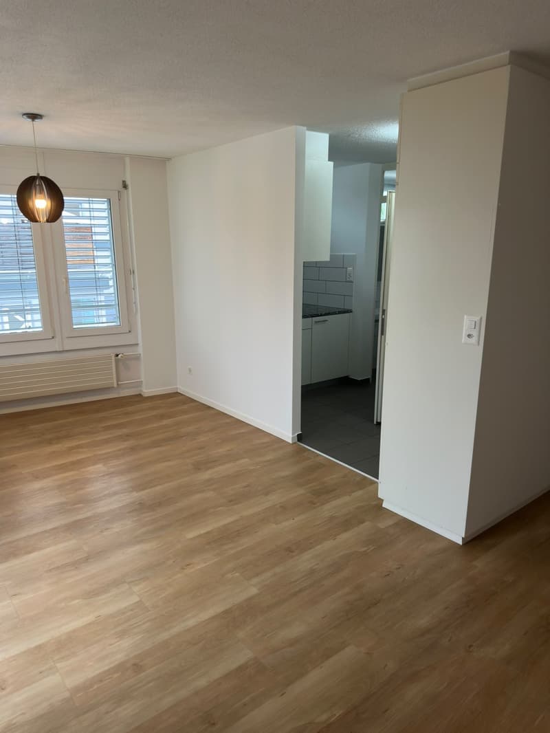 Gemütliches Studio-Apartment mit Balkon in Gossau (8)