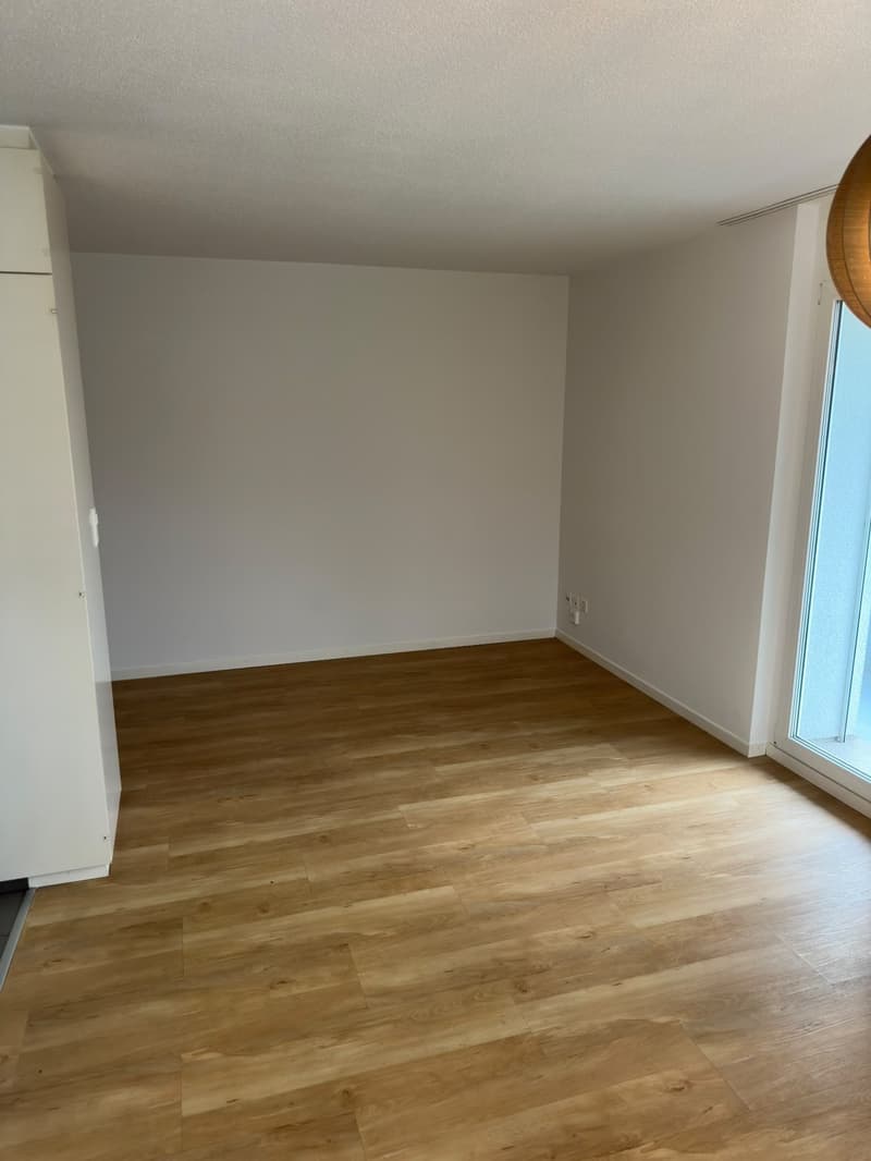 Gemütliches Studio-Apartment mit Balkon in Gossau (7)