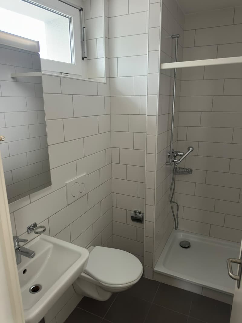 Gemütliches Studio-Apartment mit Balkon in Gossau (4)