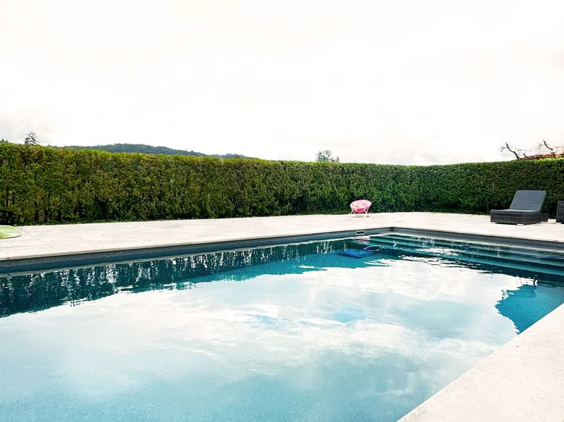 8.5-room villa with pool & annex in Oberentfelden (2)
