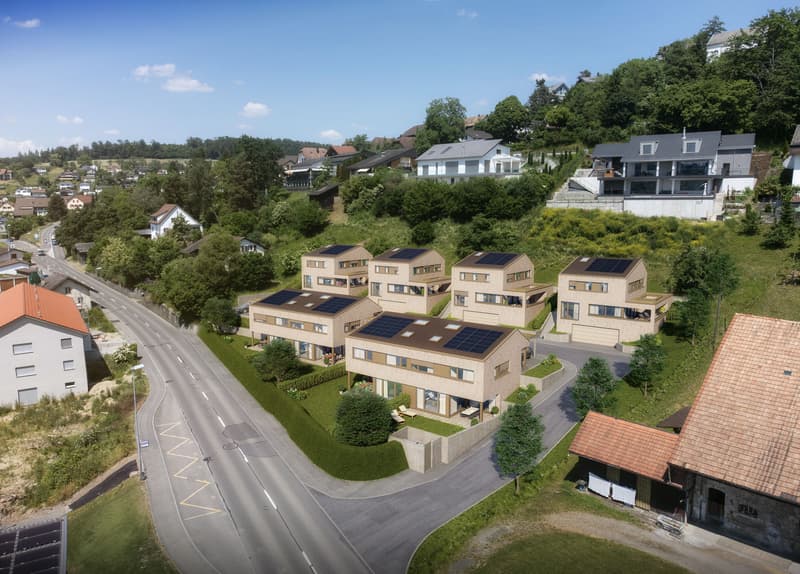 4.5-Zimmer-DEFH mit Garten und PV in Egliswil kaufen (2)