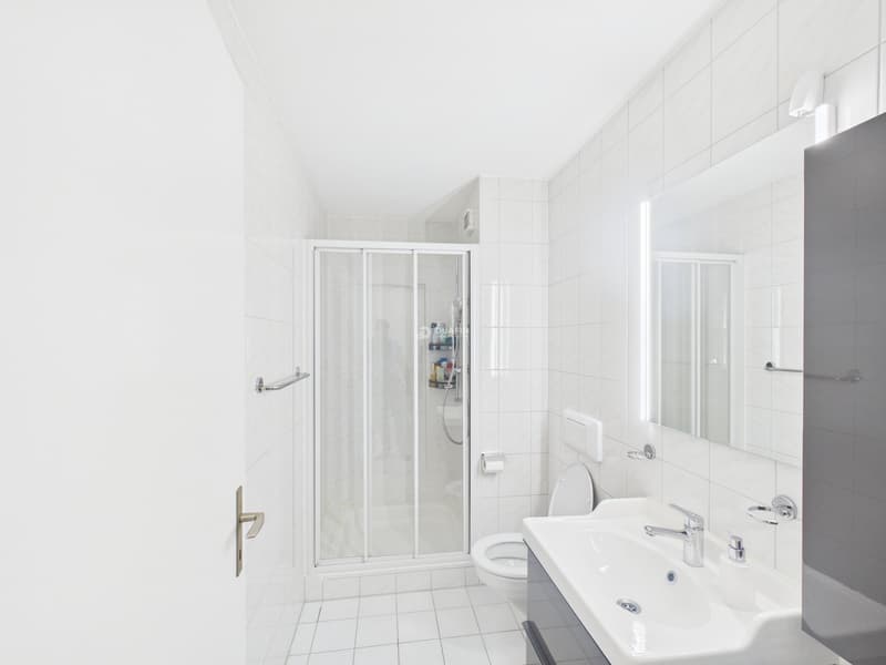 4.5-Zi.-Etagenwohnung in Schafisheim - ruhig, mit Balkon (11)