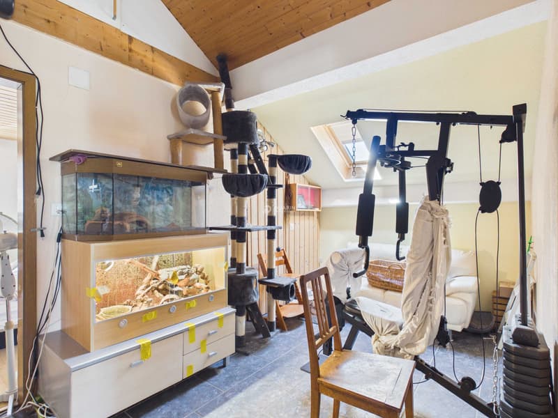 5.5-Zimmer-Einfamilienhaus mit Garten in Hellsau kaufen (10)