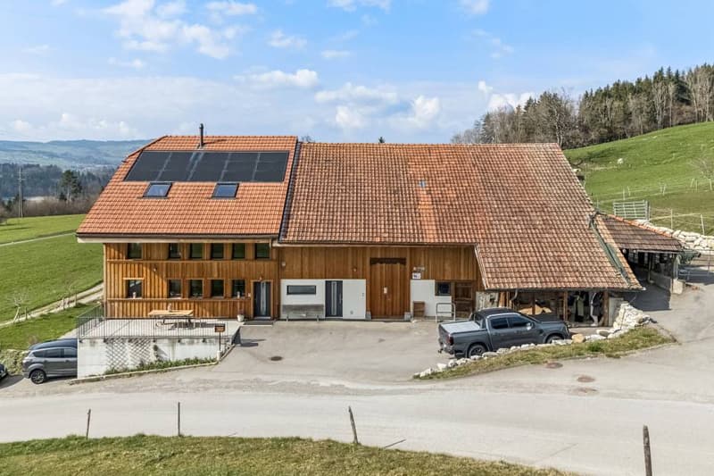 Beautifully renovated 8.5-room farmhouse with building land (2)