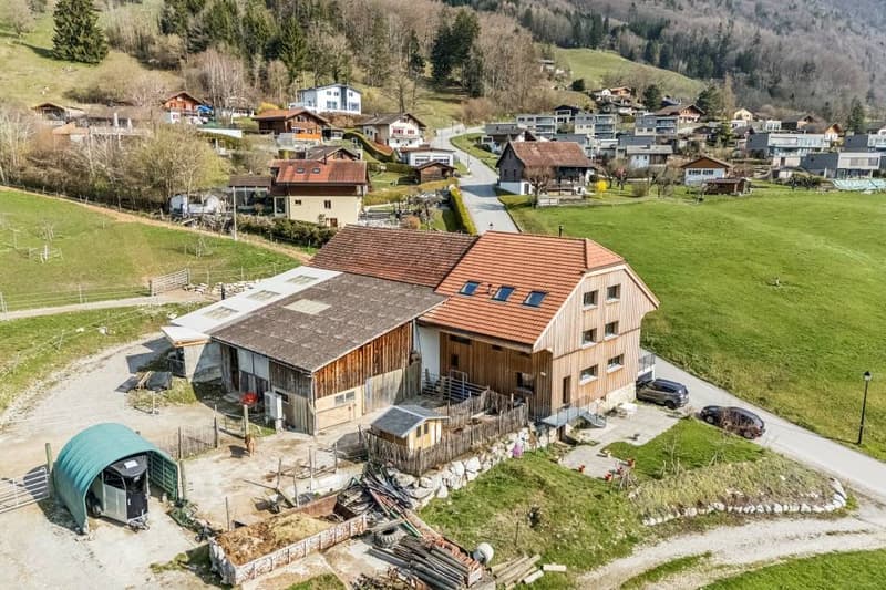 Beautifully renovated 8.5-room farmhouse with building land (1)