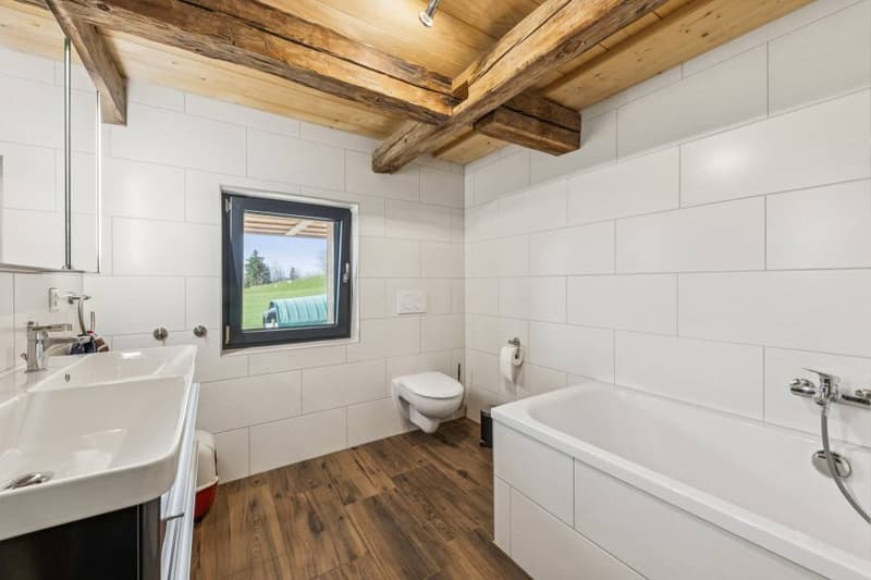 Beautifully renovated 8.5-room farmhouse with building land (8)