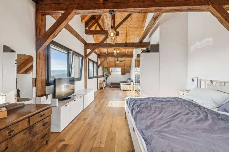 Beautifully renovated 8.5-room farmhouse with building land (3)