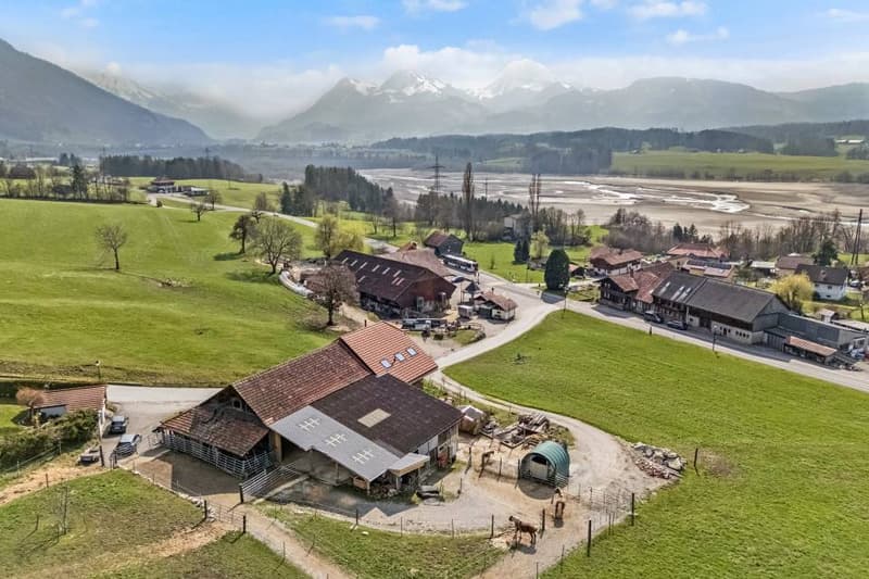 Beautifully renovated 8.5-room farmhouse with building land (10)