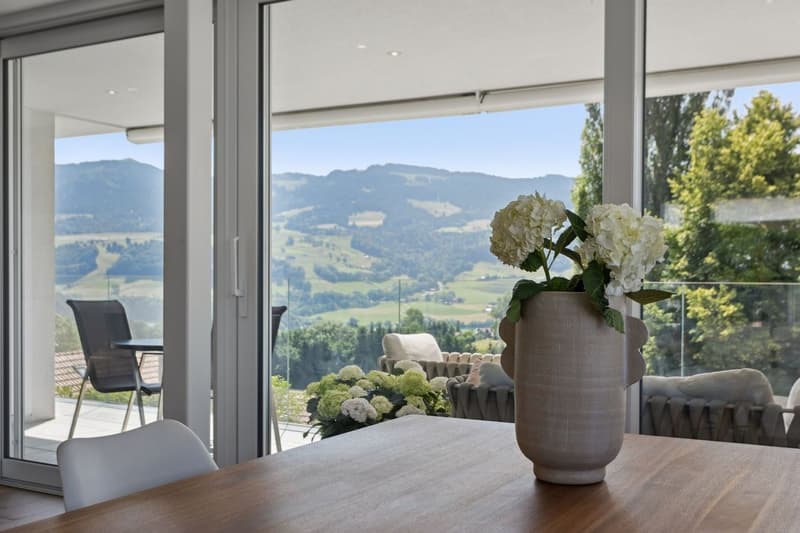 Vue depuis la salle à manger et accès au balcon