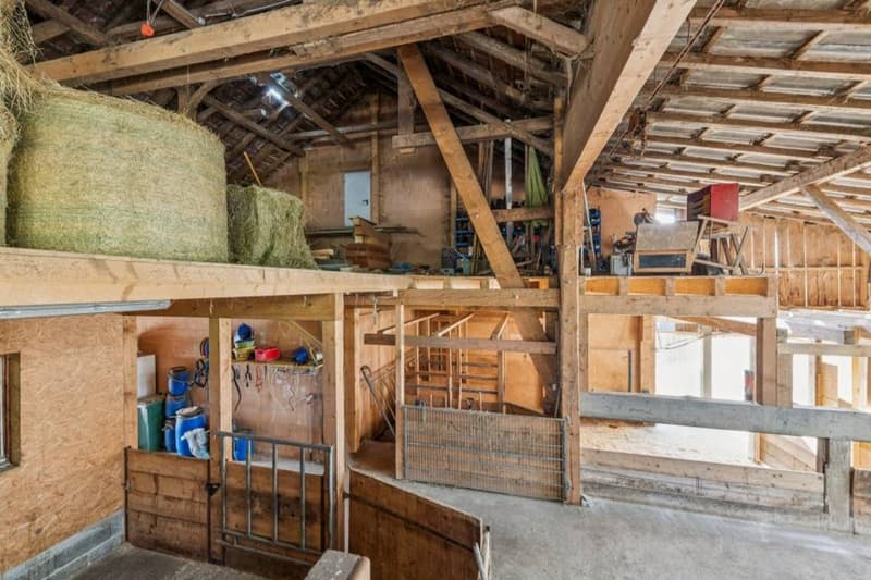 Baugrundstück von 2'198m2 mit renoviertem Bauernhof (6)