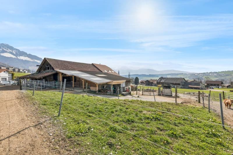 Terreno edificabile di 2'198m2 con fattoria ristrutturata (4)