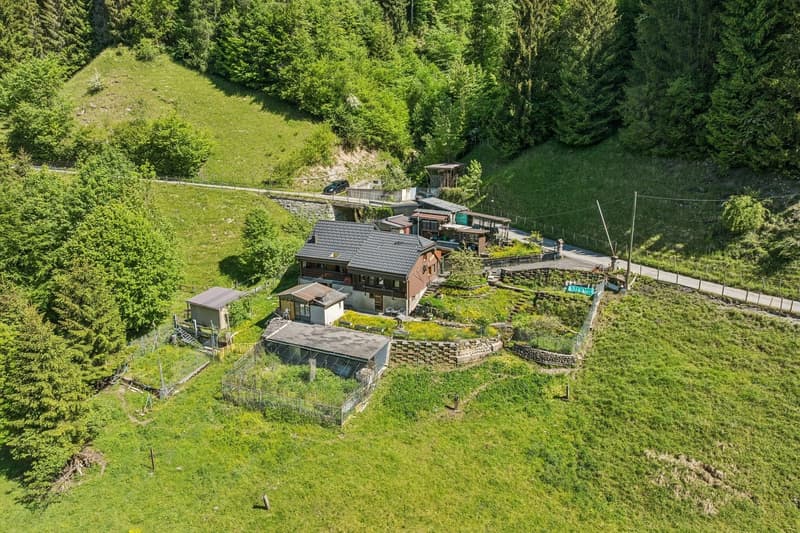 Haven of peace in nature (1)