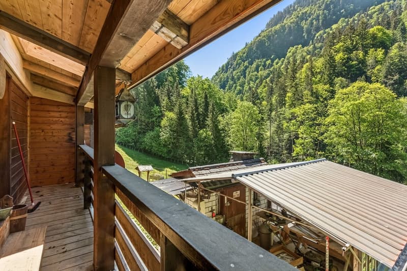 Haven of peace in nature (10)