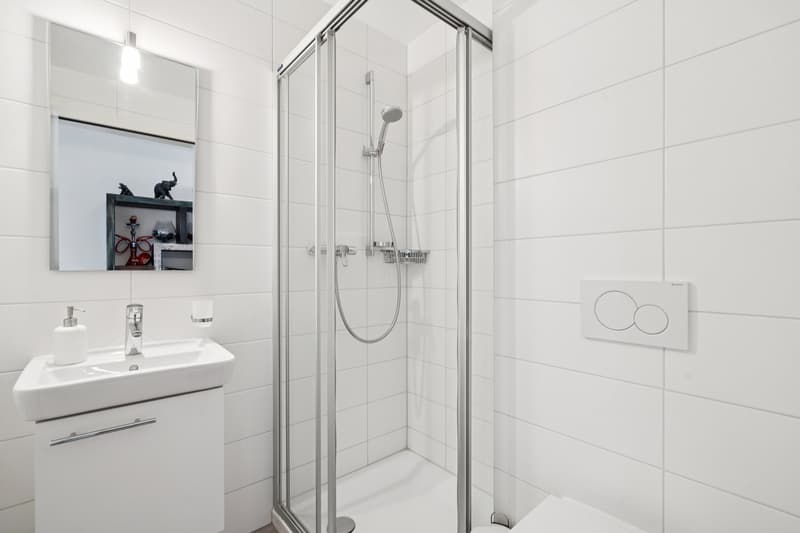 Apartment 3.5 rooms with balcony and view of the Moléson (8)