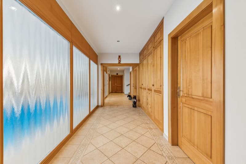 Magnificent property 20 minutes from Vevey (4)