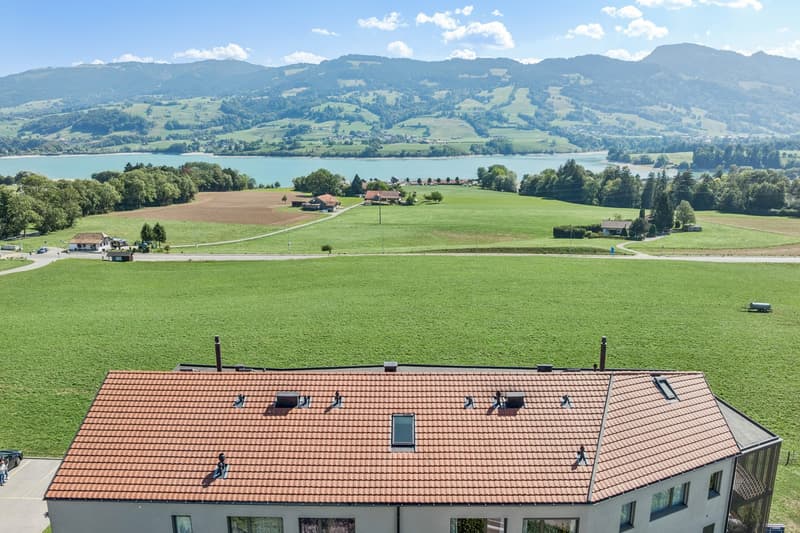 Sublime attique en duplex avec vue imprenable sur le lac de la Gruyère (11)