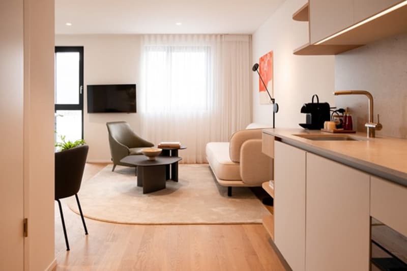 Open layout living room and kitchen area, TV, sofa, table, chairs, rug, plant