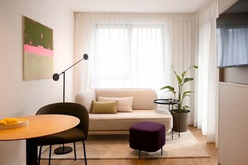 light walls, white sofa, round table, chair, side table, floor lamp, television, painting, pot plant, rug