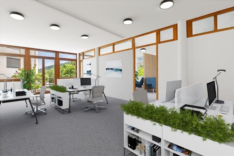 TENUM Liestal Spacious Office Space with All-Around Service (2)