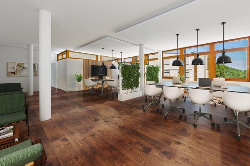 TENUM Liestal Offices with All-Around Service (2)