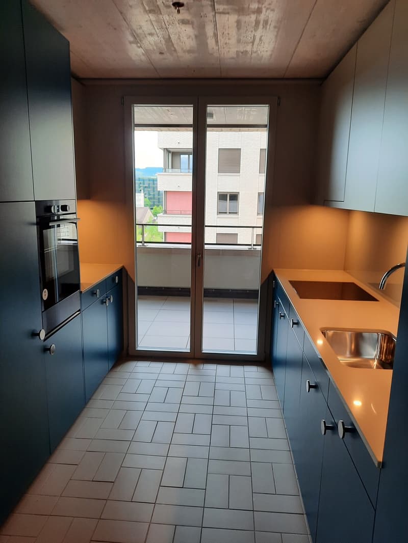 Appartamento di 3,5 locali elegante al 9° piano con vista sul Rietpark (7)
