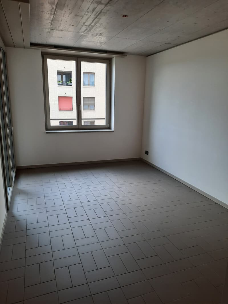 Appartamento di 3,5 locali elegante al 9° piano con vista sul Rietpark (4)