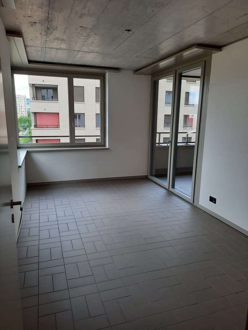 Appartamento di 3,5 locali elegante al 9° piano con vista sul Rietpark (5)