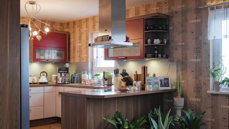 Elegant 5.5-room house in Oberbuchsiten (4)
