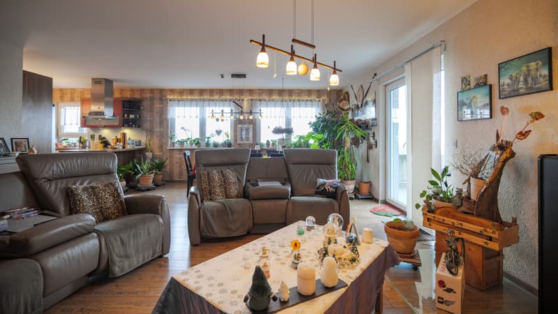 Elegant 5.5-room house in Oberbuchsiten (8)