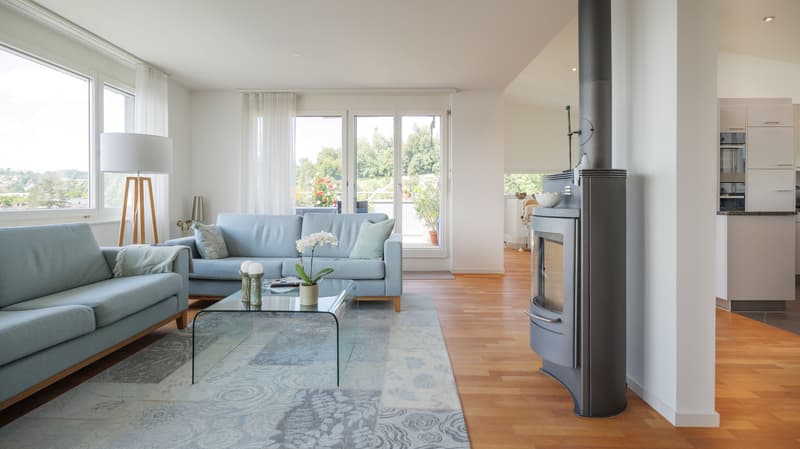 Wonderful 4.5-room maisonette apartment in Rapperswil-Jona (1)