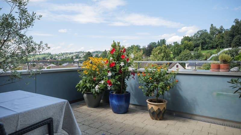 Wonderful 4.5-room maisonette apartment in Rapperswil-Jona (7)