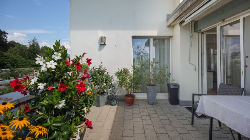 Wonderful 4.5-room maisonette apartment in Rapperswil-Jona (6)