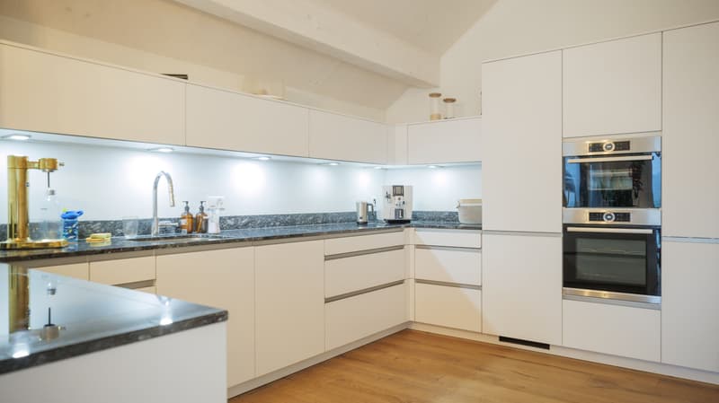 Upscale 5.5-room attic apartment with terrace in Killwangen (2)