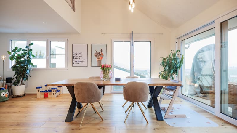 Upscale 5.5-room attic apartment with terrace in Killwangen (1)