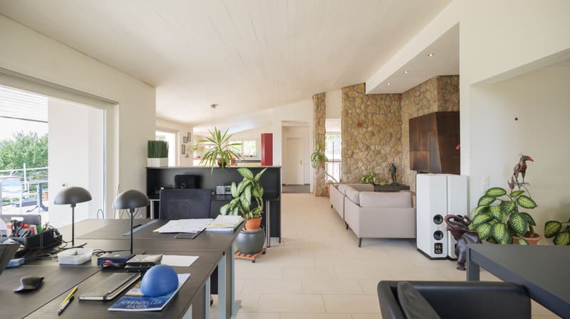 7.5-room villa with unobstructable Alpine view and building land plot (2)