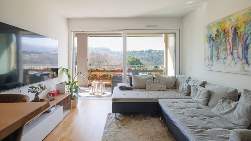 Praktische 2.5-Zimmer-Wohnung mit schöner Aussicht in Pazzallo (1)