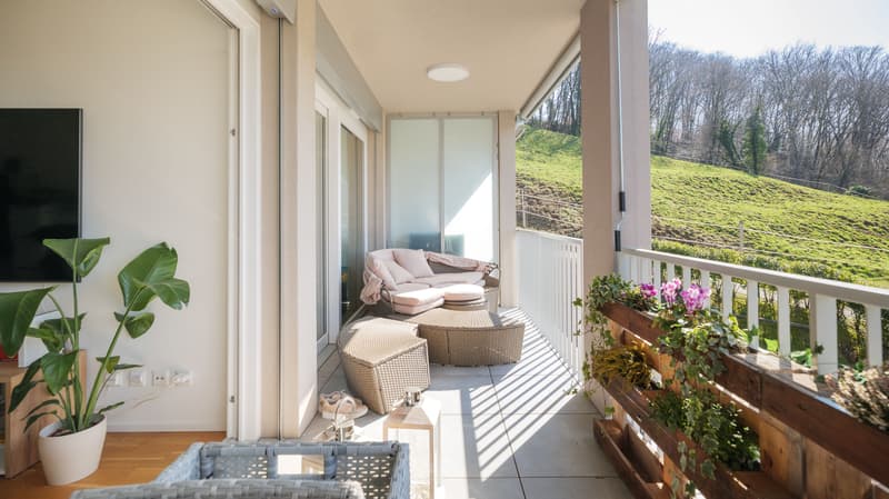 Praktische 2.5-Zimmer-Wohnung mit schöner Aussicht in Pazzallo (3)