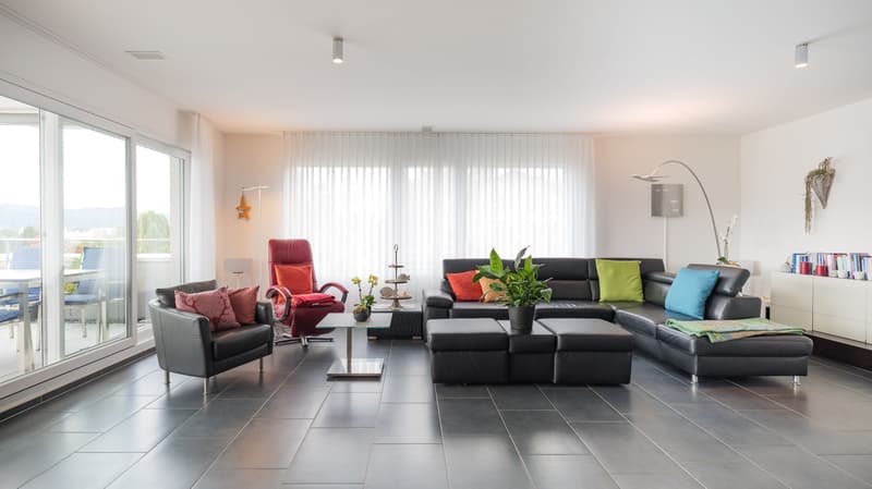 Beautiful 4.5-room attic apartment with a dreamy view in Wohlen (2)