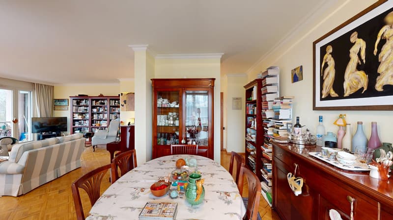 Charming 6.5-room crossing apartment in Geneva (5)