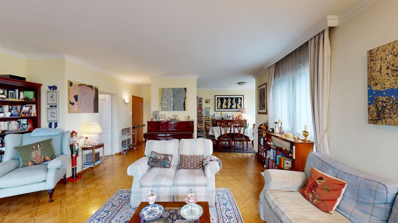 Charming 6.5-room crossing apartment in Geneva (3)
