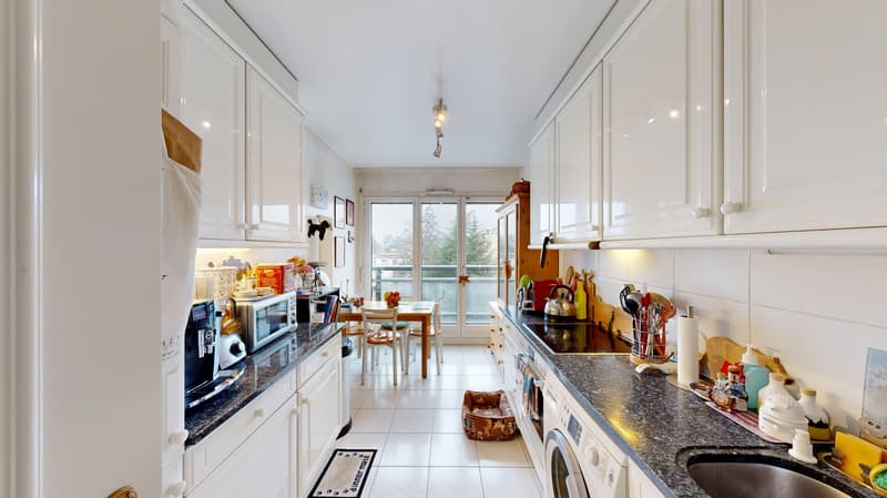Charming 6.5-room crossing apartment in Geneva (6)