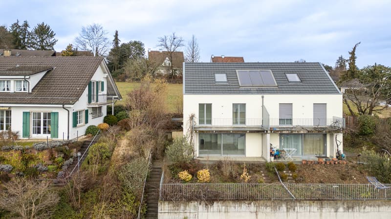 Modern 5.5-room house with panoramic view in Allschwil (1)
