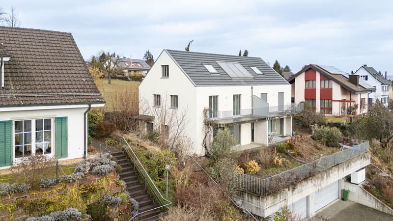 Modern 5.5-room house with panoramic view in Allschwil (5)